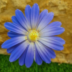 Fleur en fer bleue centre paillettes